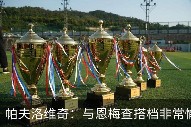帕夫洛维奇：与恩梅查搭档非常愉快，诺伊尔对我帮助巨大